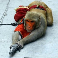 funee monkee gif but monkee has gun