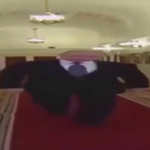 putin in the hallway aka Song For Denise (Maxi Version)