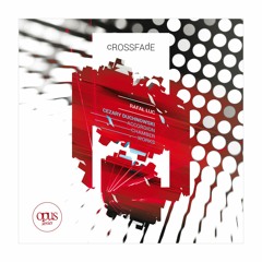 Rafał Łuc "cROSSFAdE" – The Rage