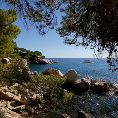 Prismacolour - "Mediterranean Blue"