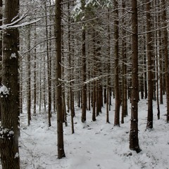 Spis Din Syvende Sans (Karpe Diem Cover)