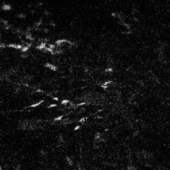 spirit paths 03 - Gregory Nunn