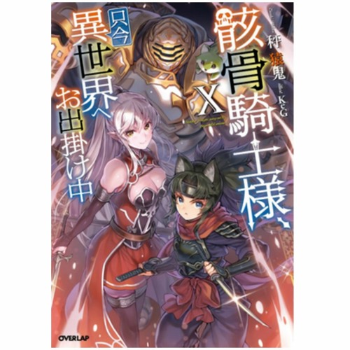 Stream *Bestseller Skeleton Knight in Another World (Light Novel) Vol. 10  Book (by Ennki Hakari) from noelharris20