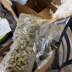 bichotes del tropico