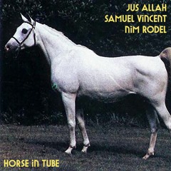 Horse in Tube (feat. Nim Rodel & Jus Allah)