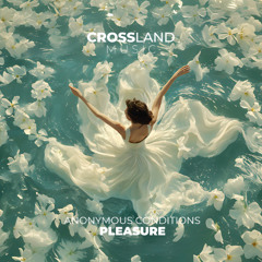 Anonymous Conditions - Pleasure (Original Mix)