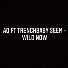 AOxTrenchBabySeem- Wild Now