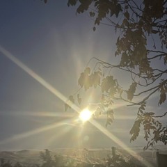 iF you have something to say... - cAmeron.