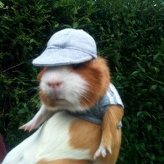 2504 _ myWayBack [222pmb Rmx]