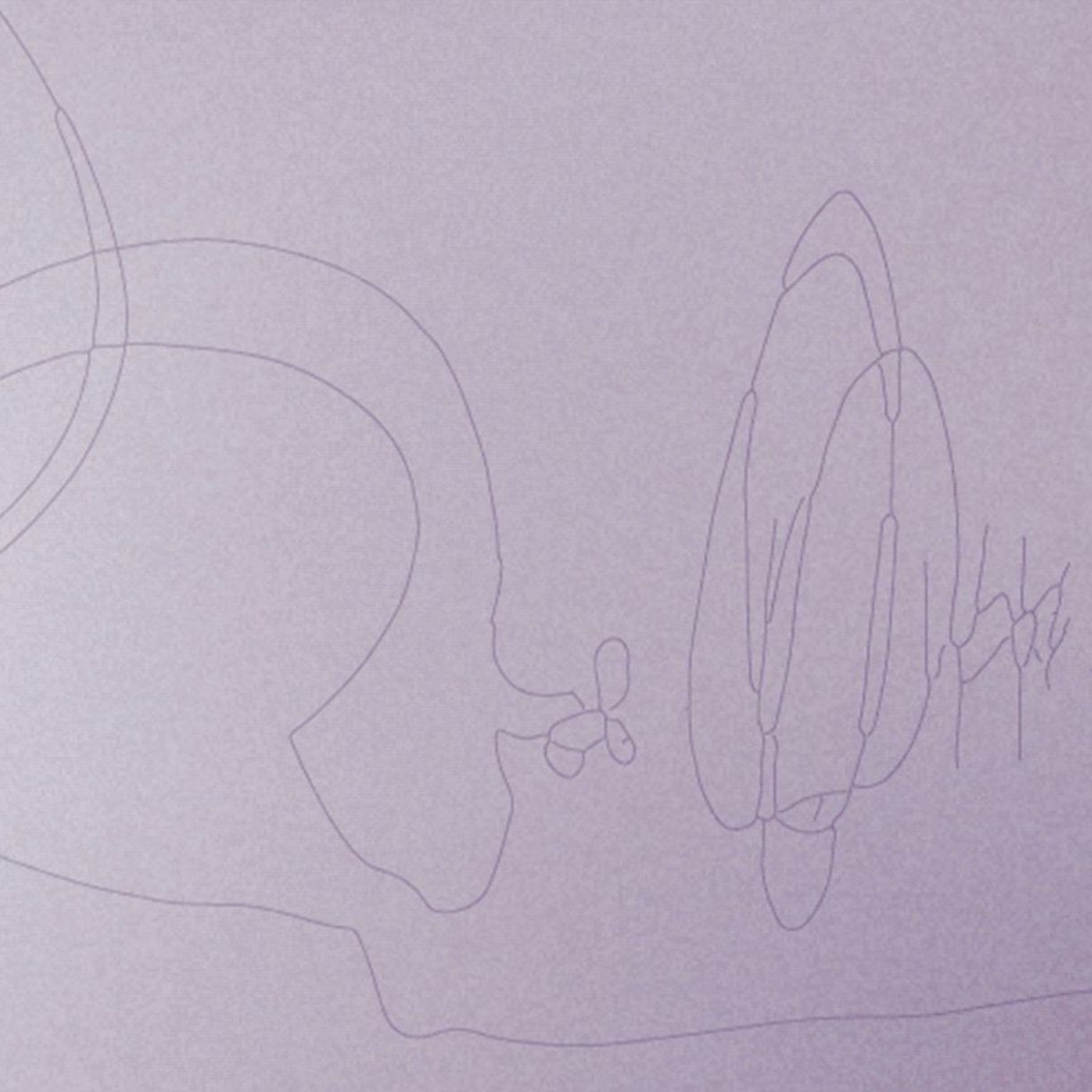 Thao Phan Performance lecture: Listening to Misrecognition