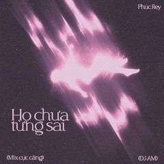 Họ Chưa Từng Sai (DJ AM Mix Cực Căng)