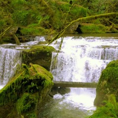 Calming Forest Waterfall White Noise for Sleep, Studying or Stress Relief (75 Minutes)