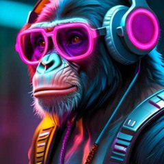 SET - TECH HOUSE