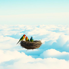 Chicks in the Sky