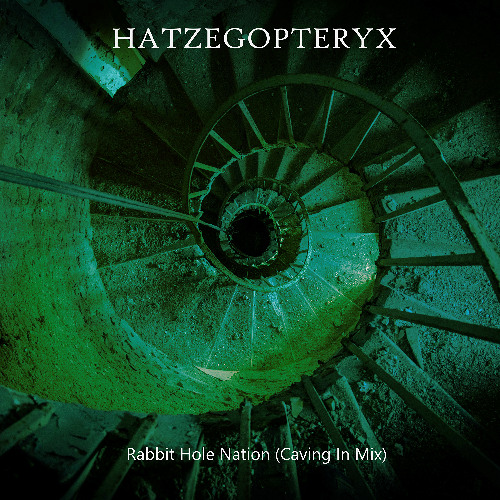 Rabbit Hole Nation (Caving In Mix)