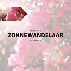 Muziek voor Pure Geest