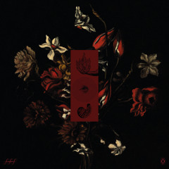 El Origen Del Bosque V