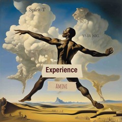Spirit T & YMR NIG - Experience (Amini)