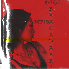 Abracadabra - Lady Gaga (striga remix)