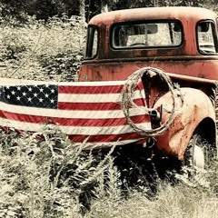 Another Damn Country Song