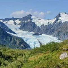 Best Wilderness Wildlife Glacier Experience From Anchorage Tours Review