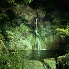 The substage loves dubs