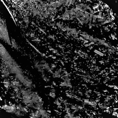 Echoes of the Underground