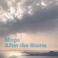After The Storm