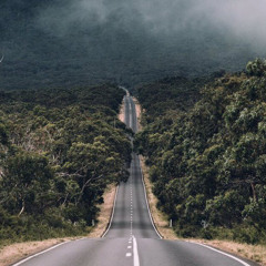 ابتدت تحلى الحياة