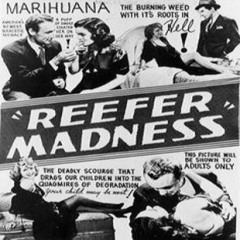 reefer madness - pretty crazy show
