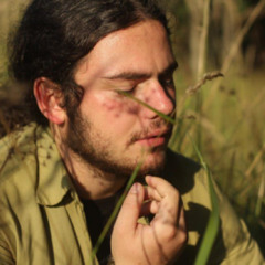 Dmitri Petrov — anarkistin tie