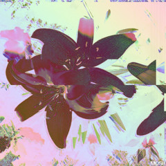 not enough - prod.mm