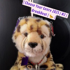 | Choose Your Genre 2025 | #2 | BreakBeat | 🐆 |