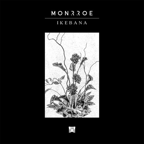 Monrroe - Black Dahlia