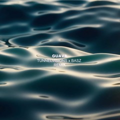Tunnelvisions - Guava (Basz Remix)
