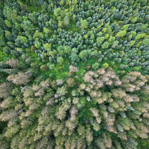 Dance Portal 1 Year Anniversary Cacao Dance