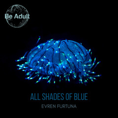 DHSA Premiere: Evren Furtuna - Surfing Above the Clouds (Original Mix)