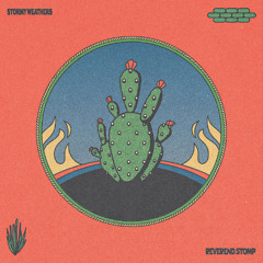 Reverend Stomp - Stormy Weathers