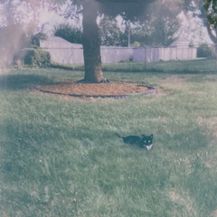 We Made an Angel in the Snow