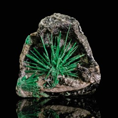 We Left The Minerals Samples On B40 - 955