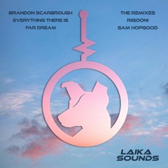 PREMIERE: Brandon Scarbrough - Everything There Is (RIGOONI Remix) [Laika Sounds]