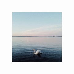 Julien Pastel - Swan Lake