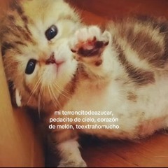 enamorado.wav
