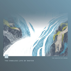 The Endless Life of Water