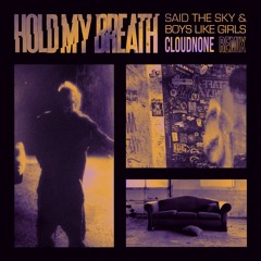Said The Sky & Boys Like Girls - Hold My Breath (CloudNone Remix)