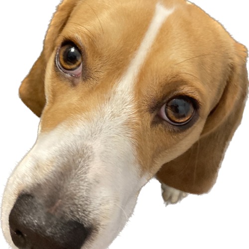 Helios and Flerch @ Skibowl cont.