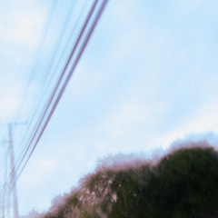 shapes of a memory.