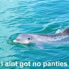AINT GOT NO PANTIES ON SHIRLEY TEMPER REFIX (FREE DL)