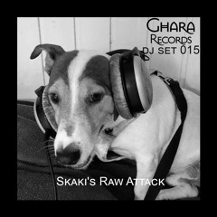 Ghara DJ Set ''Raw Attack'' (Compilated & Mixed By Skaki)