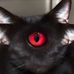 📺Tunnel Vision📺